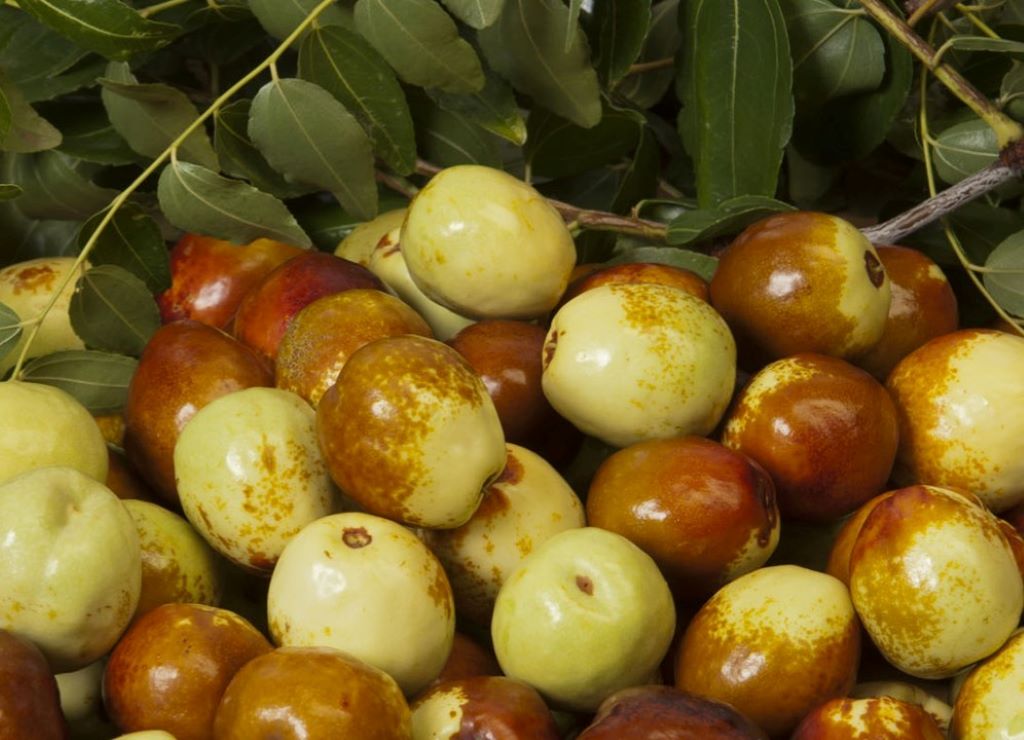 Bowl of Jujubes